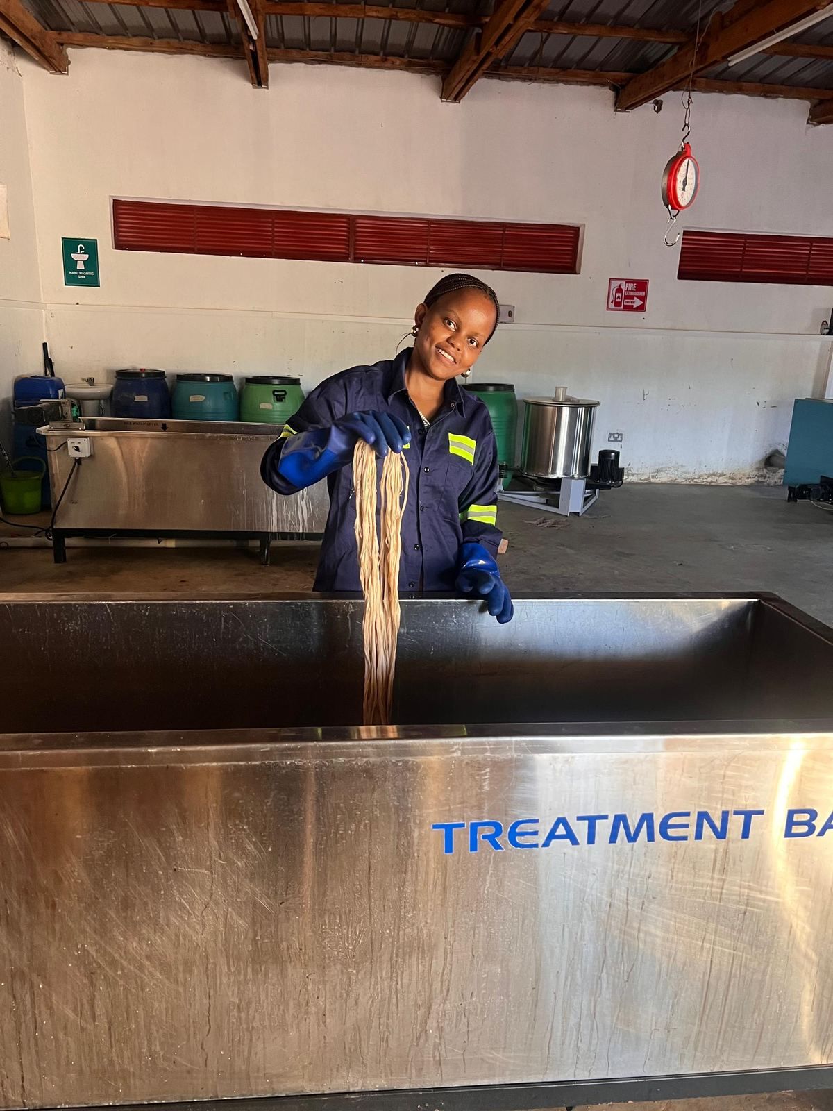Fibre washing and treatment